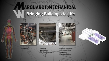 Comparing the building systems to the human body system